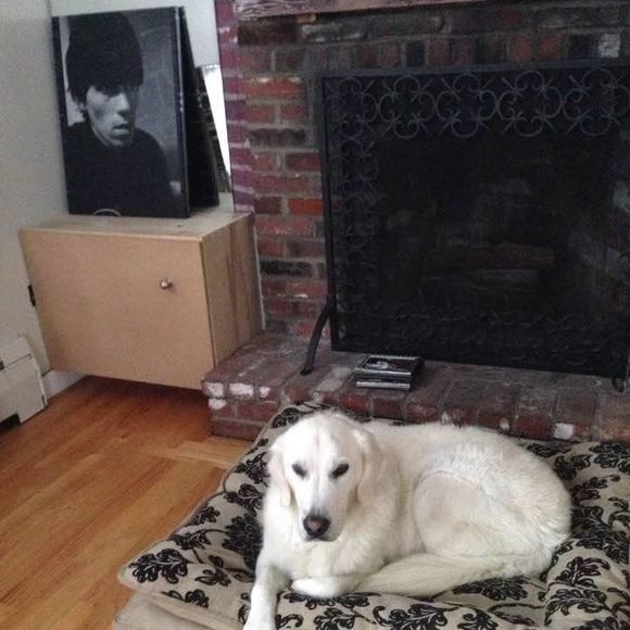 Meet your Posher, Jeff - Picture 1 of 1